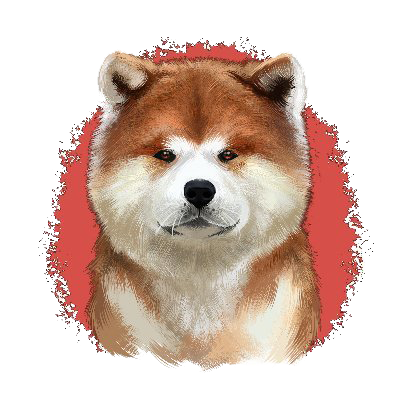shibavax's tweet photo. 🐕‍🦺 The Avalanche family just adopted SHIBAVAX!

Everyone got a chance to get some tokens thanks to the 5M buy limit.

The team has renounced ownership of the contract, and burnt all remaining LP tokens. 

SHIBAVAX is yours now!

$SHIBX https://t.co/5EulQD7zJh