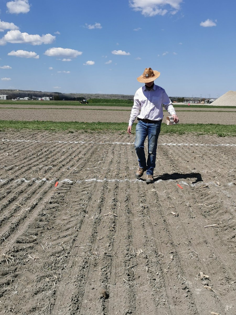 Alright #maltbarley nerds of the world, I assume you all know Duane Falk, so I also assume you understand the kick I got out of our #summerstudent showing up at work looking like this:
#OCCC #gocereals you would also know, I think.

#OCRCNL #uofg