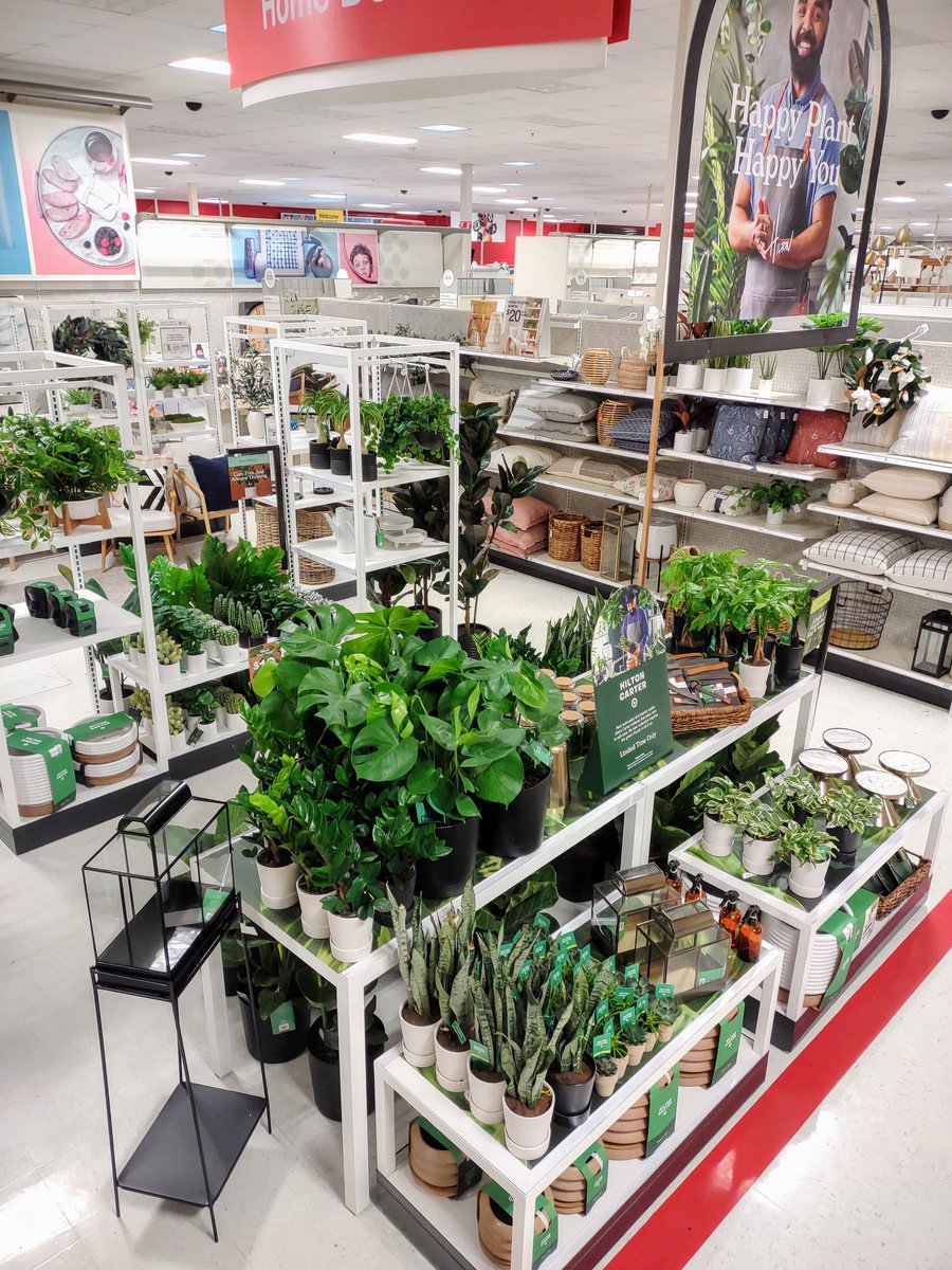 Visit #theHill to shop the gorgeous Hilton Carter collection and bring some life to your space! 🌱🌿 <a href="/TheRealKO3/">Kiel Ethridge</a> <a href="/JenniG_1989/">𝓙𝓮𝓷</a>