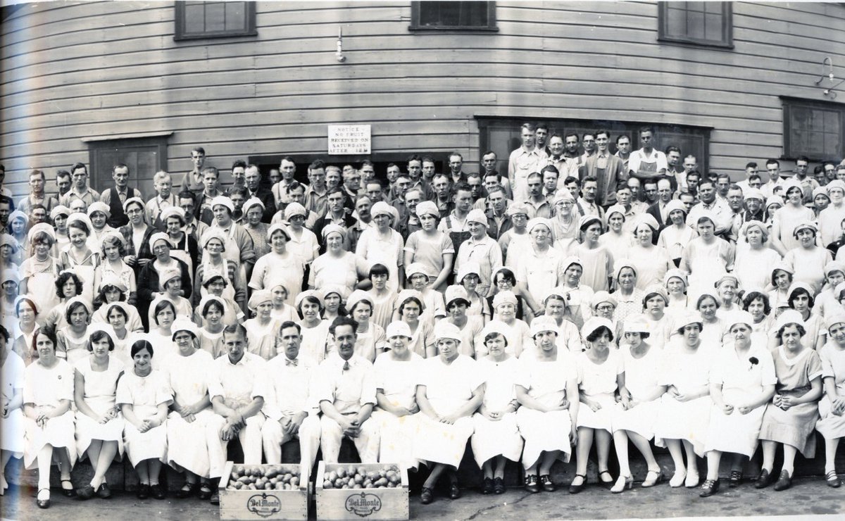 Photo Focus: 1/3 of Pear Canning Crew at Cal Packing Co. Plant, 285 12th Street. This is one of the first processing plants in Salem, stood just about where Sparks Athletic Center is on Willamette University's Campus today. WHC Collections 1994.088.0001 details.#laborhistorymonth