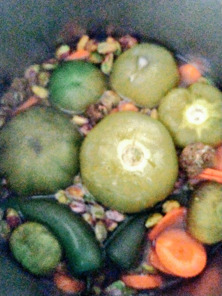 AmeriCannaBlunt's tweet photo. Hemp tomatillo jalapeno carrot & pistachio salsa.
#mouthful https://t.co/tubUSe3TPm