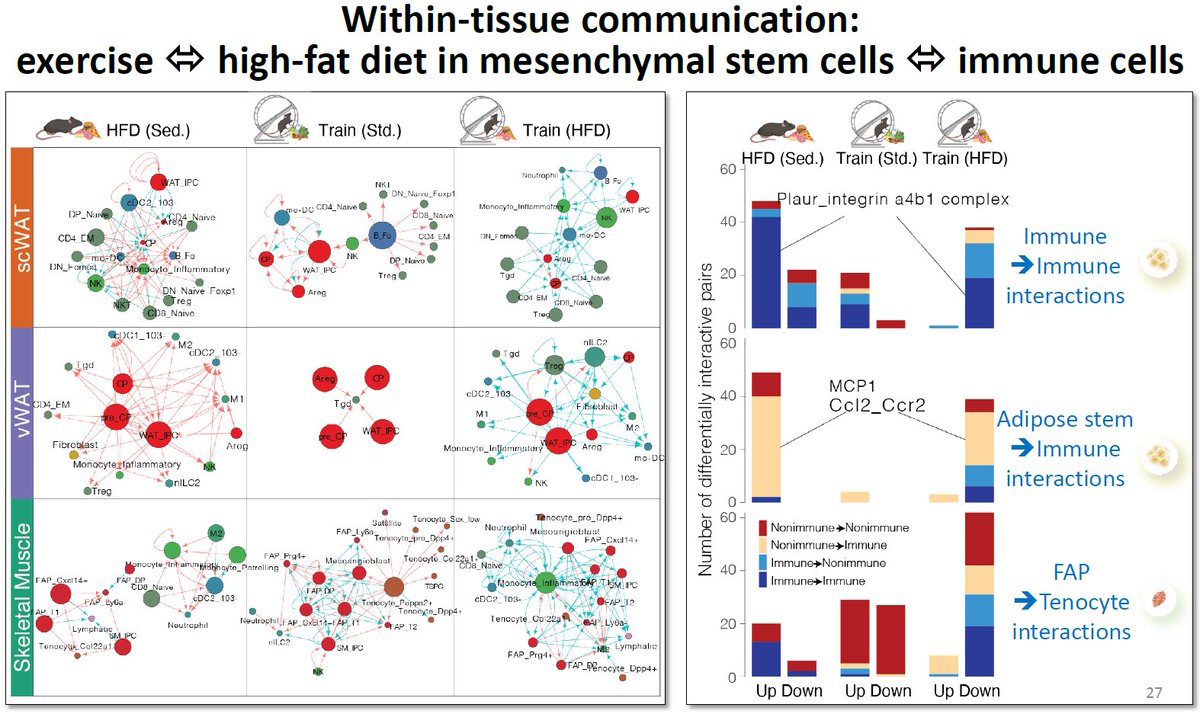 manoliskellis's tweet photo. Very proud of @YangJiekun #CSHL talk on #SingleCell dissection of Exercise-Metabolism axis #LaurieGoodyear @Joslin @BroadInstitute @MIT @MIT_CSAIL @EECS #MariaVamvini #PasqualeNigro #LeandroAgudelo #Obesity #Diabetes #Metabolism #Exercise #MultiTissue #MultiOmics #Adipose #BoG21 https://t.co/5Ivk0yqcDl