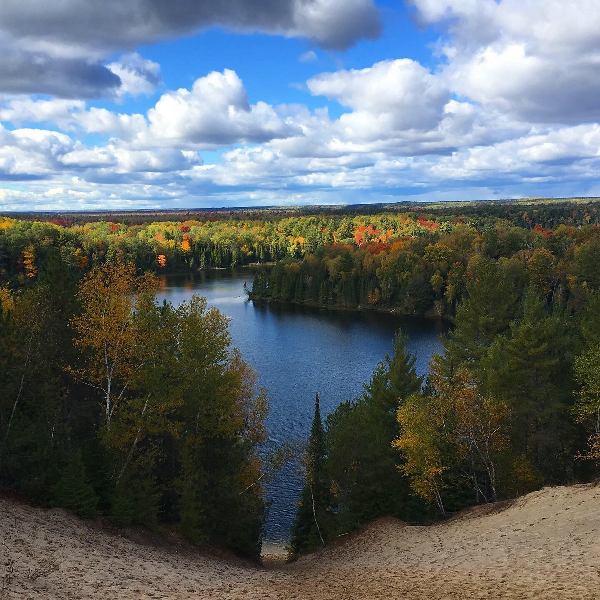 “What did the tree learn from the earth to be able to talk with the sky?”
~Pablo Neruda #quote