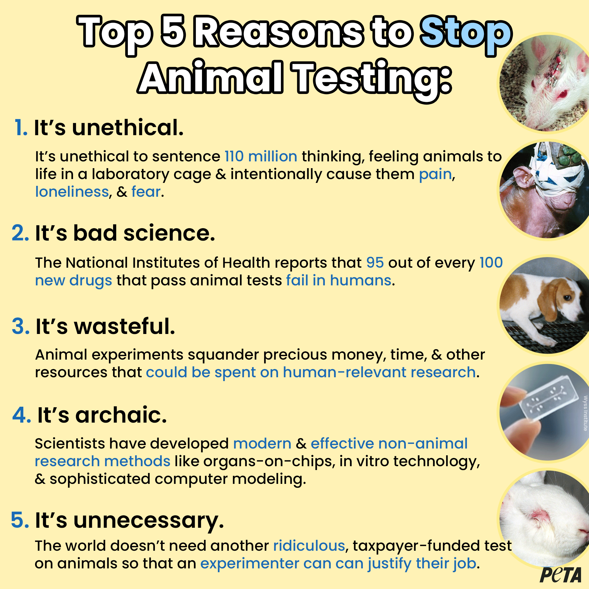 PETA on Twitter: PETA on Twitter: