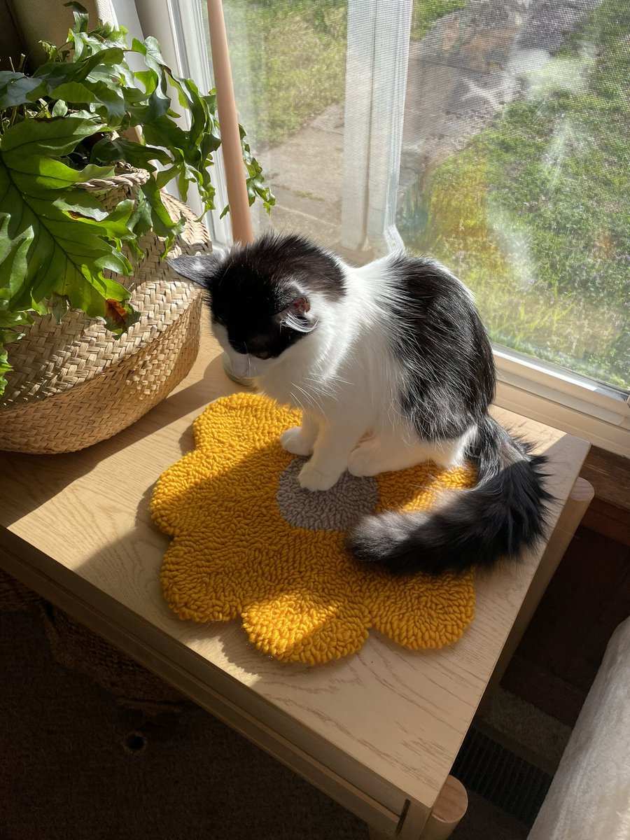 sarlisart's tweet photo. flower mini rugs 🌸 https://t.co/HChS5SVJiz