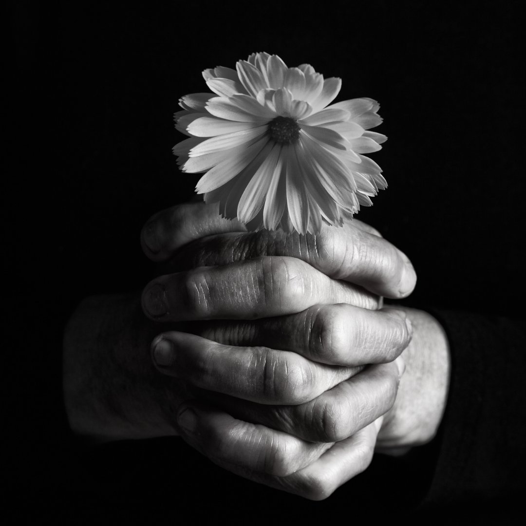 We take pride in our professionalism and compassion. 🌼

#CarolinaFuneralService #Grief #Loss #Plan #Planning #Service #Cremation #Burial #Casket #Urn #EndOfLifeArrangement #CFSACC