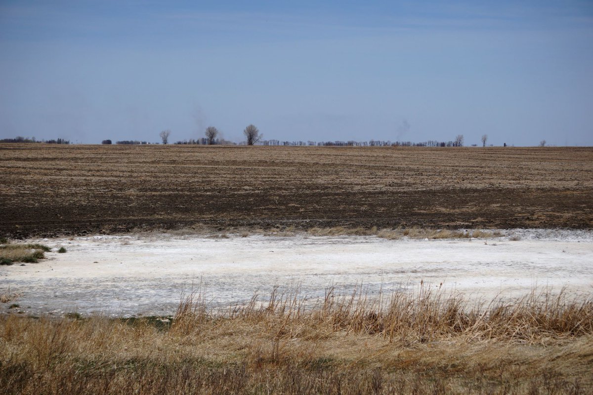 Dealing with salinity or other soil health issues? Improve soil health, wildlife habitat, and profitability by planting perennial grasses and cover crops on those marginal acres and #turnredacresgreen. Contact a Precision Ag &amp; Conservation Specialist today bit.ly/3hrcRut