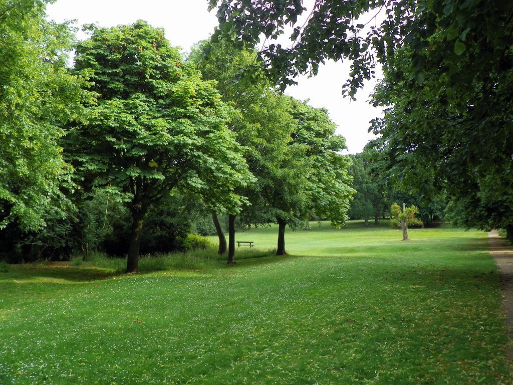 ForestCanopyFoundation tweet media