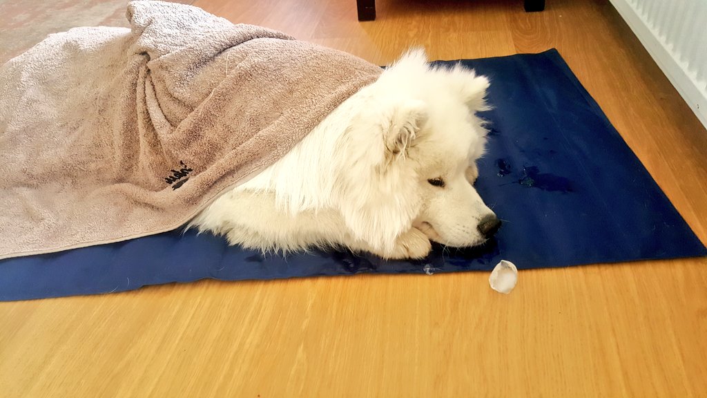 The temperature climbed to 20 degrees celsius, you know what that means: