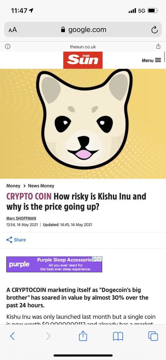 Kishu Inu tweet media