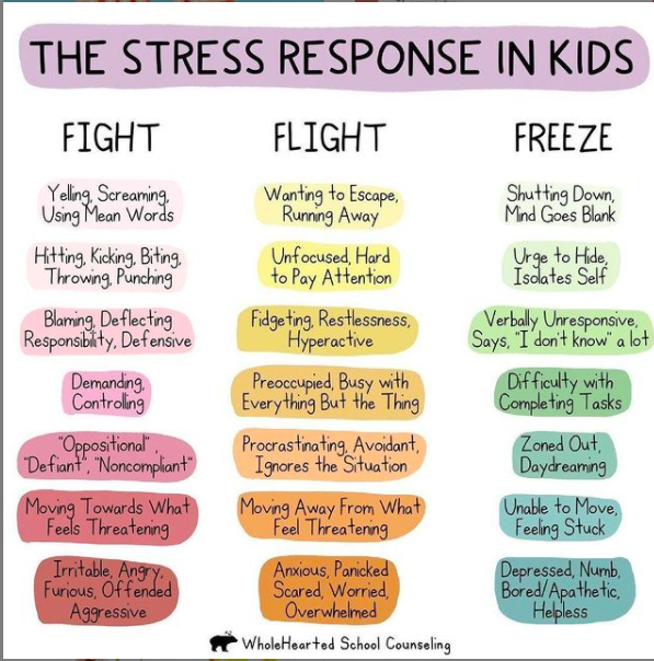 The Stress Response in Kids