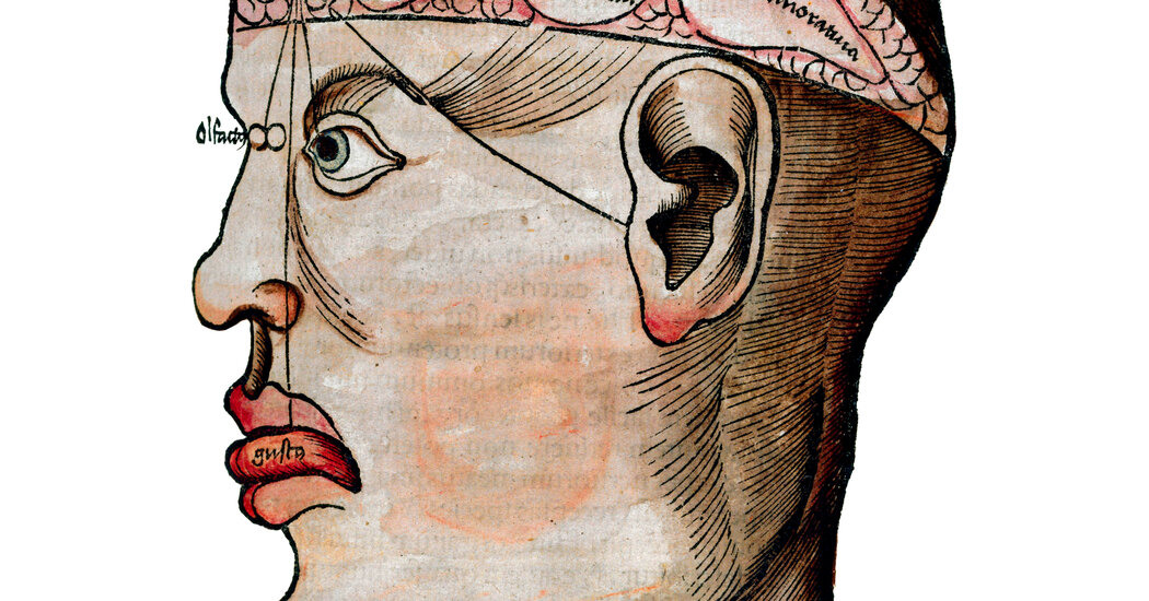 Good Read for Mental Health Month!
ow.ly/dGjI50EGFBI

#MentalHealthMonth #brainhealth