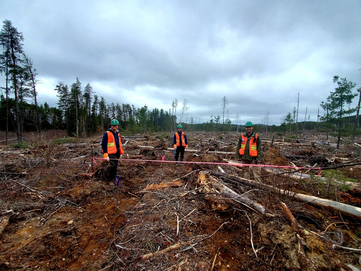 EACOM Timber Corporation tweet media