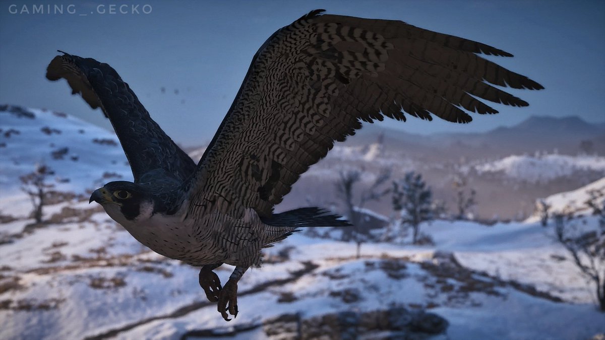 _Gaming_Gecko_'s tweet photo. Synin - Assassin's Creed Valhalla

Game: #AssassinsCreedValhalla 
Developer: #Ubisoft
Platform: #Playstation4 

#VGPUnite #VPlevelUP #GamerGram #TheCapturedCollective #VirtualPhotography #PhotoMode #GamePhotography #ThePhotoMode #ArtisticofSociety #Ubisoftconnect #PS4share https://t.co/STrteD0F19