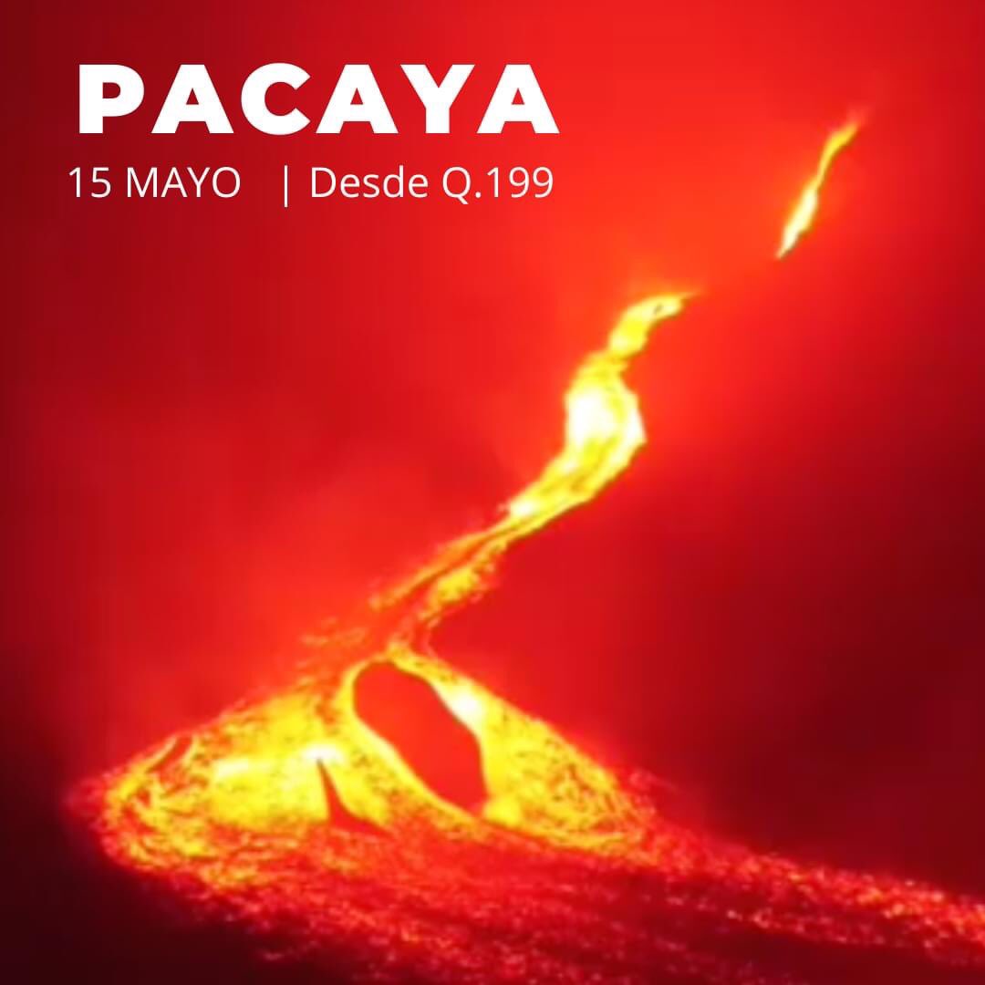 SinRumboGT's tweet photo. Acompáñanos a ver este espectáculo!

+info al WA +502 5953-5351

#Sinrumbogt
#ExperienciaVertical
#Vamosalvolcan
#guatemala
#montaña
#aventura
#trekking 
#trekkingday #pacaya #lava https://t.co/NJRu8vp9EI