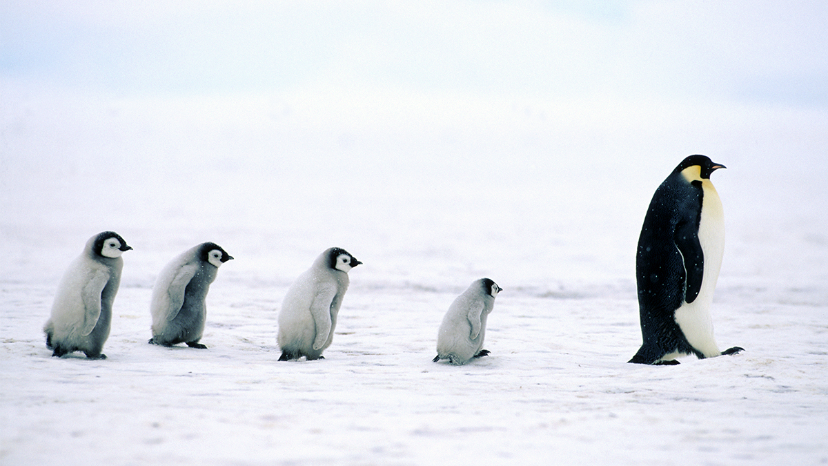 I really like this take a step back reflective approach to leadership... "ask yourself two key questions in challenging moments: “What else could be true here?” and “What is my responsibility in this?". bit.ly/3eMzF62