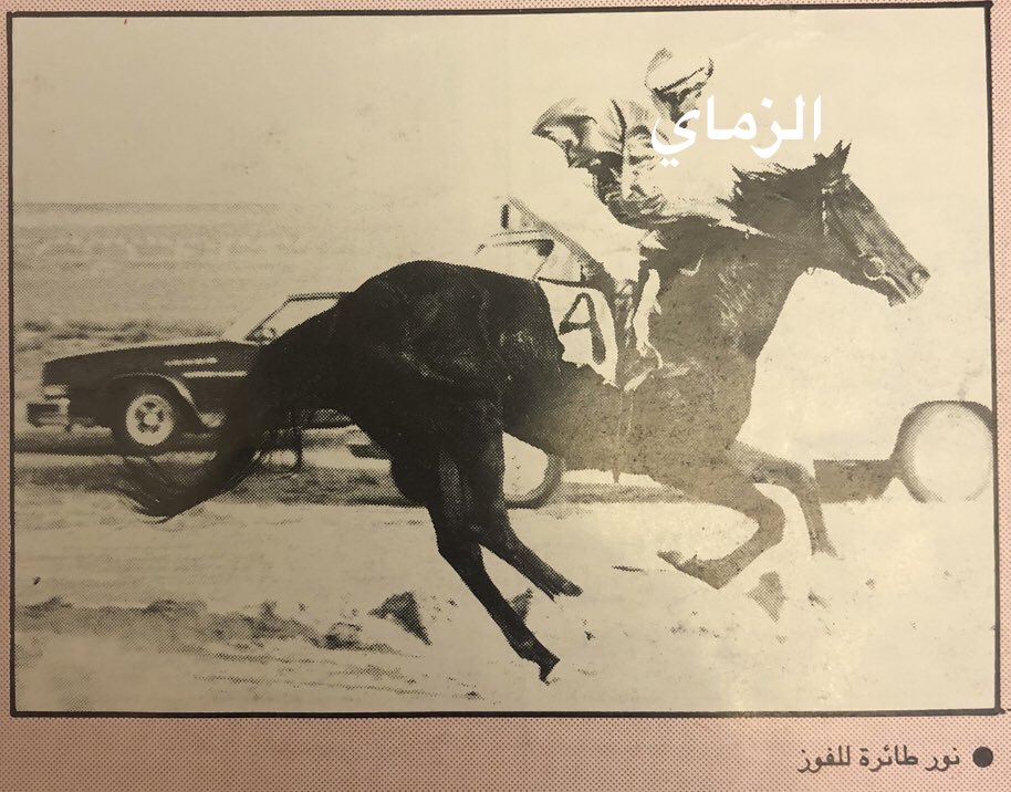 مكتبة عبدالله دخيل الزماي _ من الذاكرة
نادي فروسية الجهراء 1992 /1993
الاجتماع السادس عشر
الشوط الرابع
كأس الرئيس الاميركي جورج بوش
١-الفرس _ نور
اسطبل / العكشان
الخيال / قاسم محمد
٢-الفرس _ ابرار
اسطبل / البدين
٣-الفرس _ جهراوية
اسطبل / الحجرف
المسافة 1200 _ درجة ثالثه