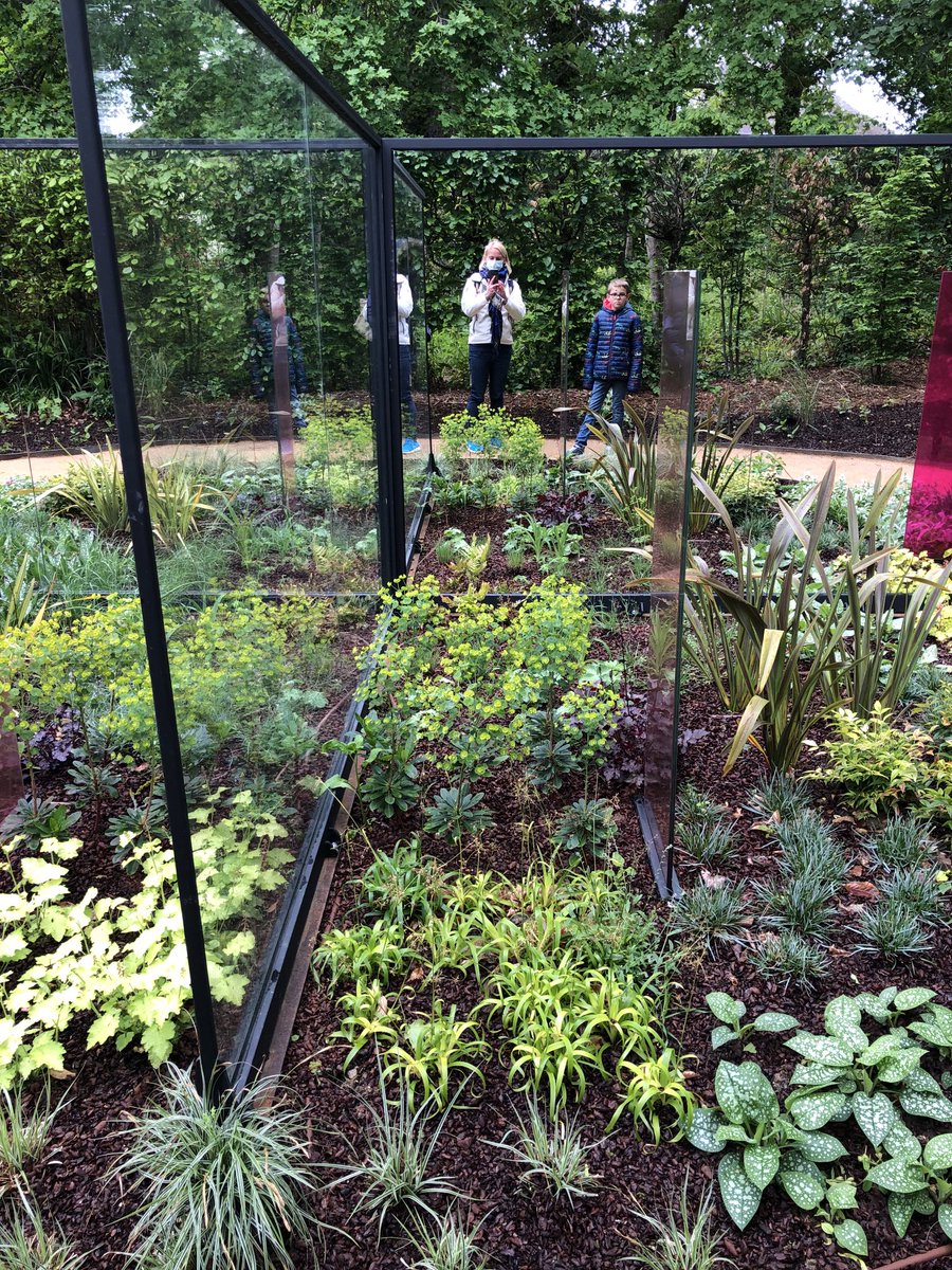 Sophie Ferracci tweet media