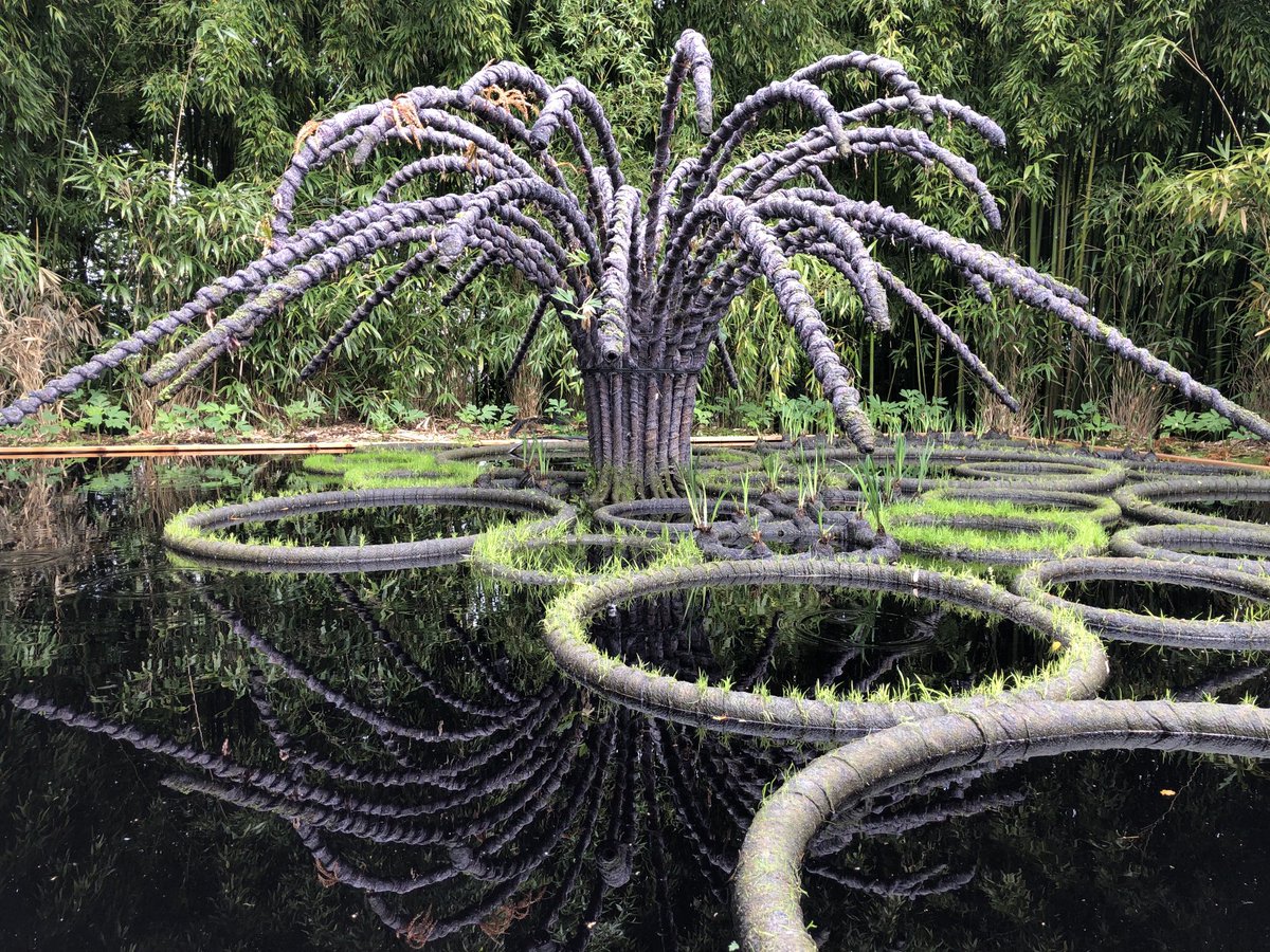 Sophie Ferracci tweet media