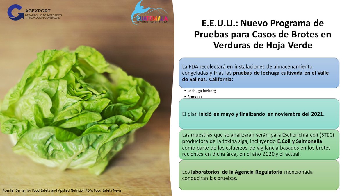 inteligencia_me's tweet photo. La #FDA estará a cargo de la administración del programa. La seguridad e inocuidad de las verduras de hoja verde es una de las prioridades de la Agencia Regulatoria mencionada. #leafygreensactionplan #testingprogram #EEUU #testing #lettuce @LPAJimenez https://t.co/4pNLaZXDG7