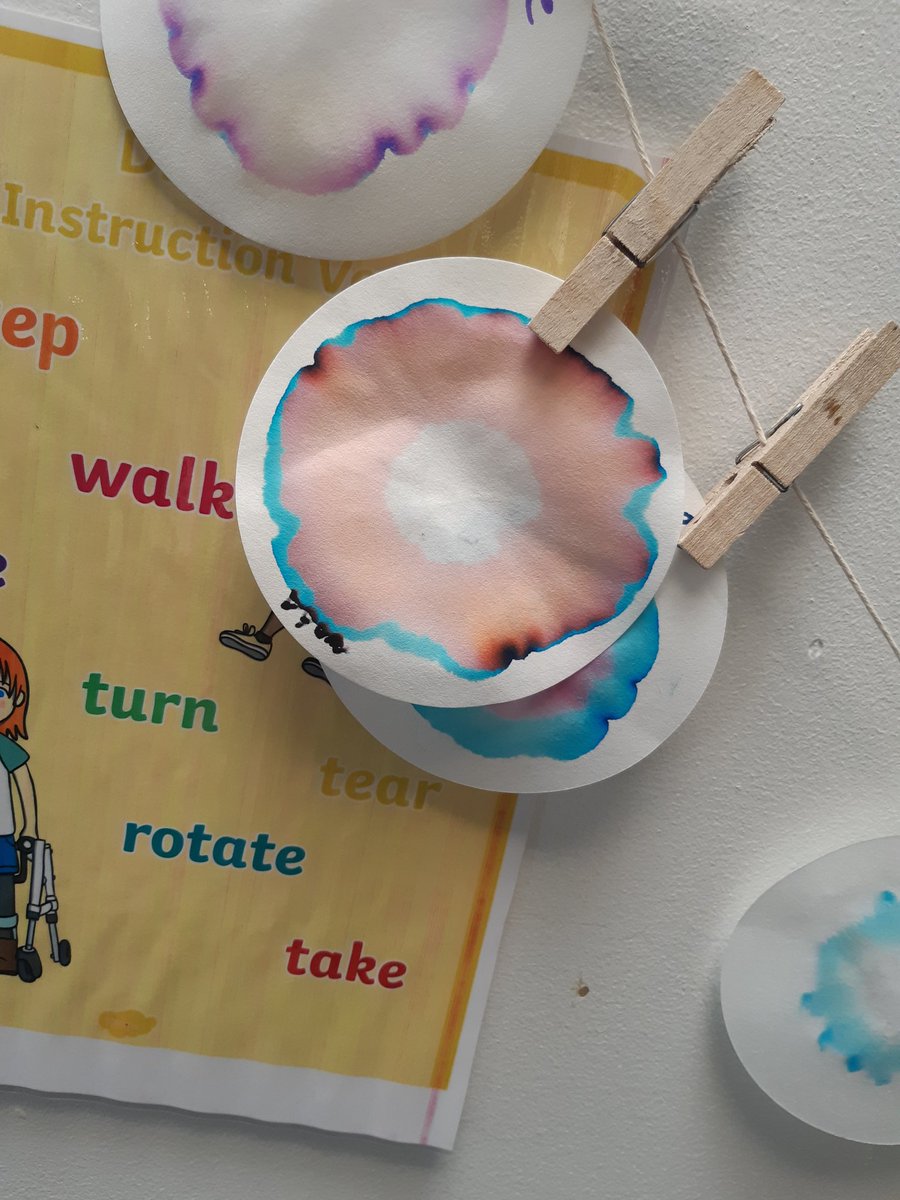 _eimhin_'s tweet photo. Chromatography flowers with @TheOrchard19 today. Separating markers into the different colours that make them up 😍 #SENscience #jcscience https://t.co/RGNEdHyhQL