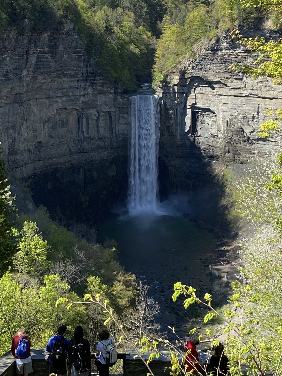 ARobScience's tweet image. Great day for AP Bio Ss at Taughannock Falls. We calculated Simpson’s biodiversity index in two locations and saw a nice Jack in the Pulpit and some fiddleheads along the way. #MWTweets #PR1DEinthePaw