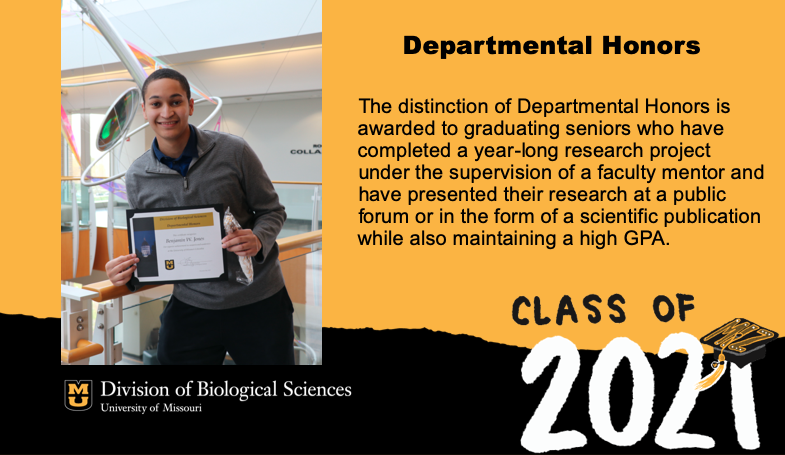MUBioHonors's tweet photo. @MizzouBiology congratulates Benjamin Jones on Graduating with Departmental Honors. Ben completed his undergraduate research under the direction of Erika Boerman in @mumedicine. 
https://t.co/ZSmUkHO2mL https://t.co/iLnBmLkrS4