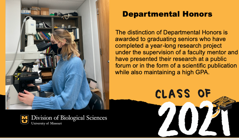 MUBioHonors's tweet photo. @MizzouBiology congratulates Madison Knight on Graduating with Departmental Honors. Madison completed her undergraduate research in the Braun lab!
https://t.co/ZSmUkHO2mL https://t.co/5zPHScGzs1
