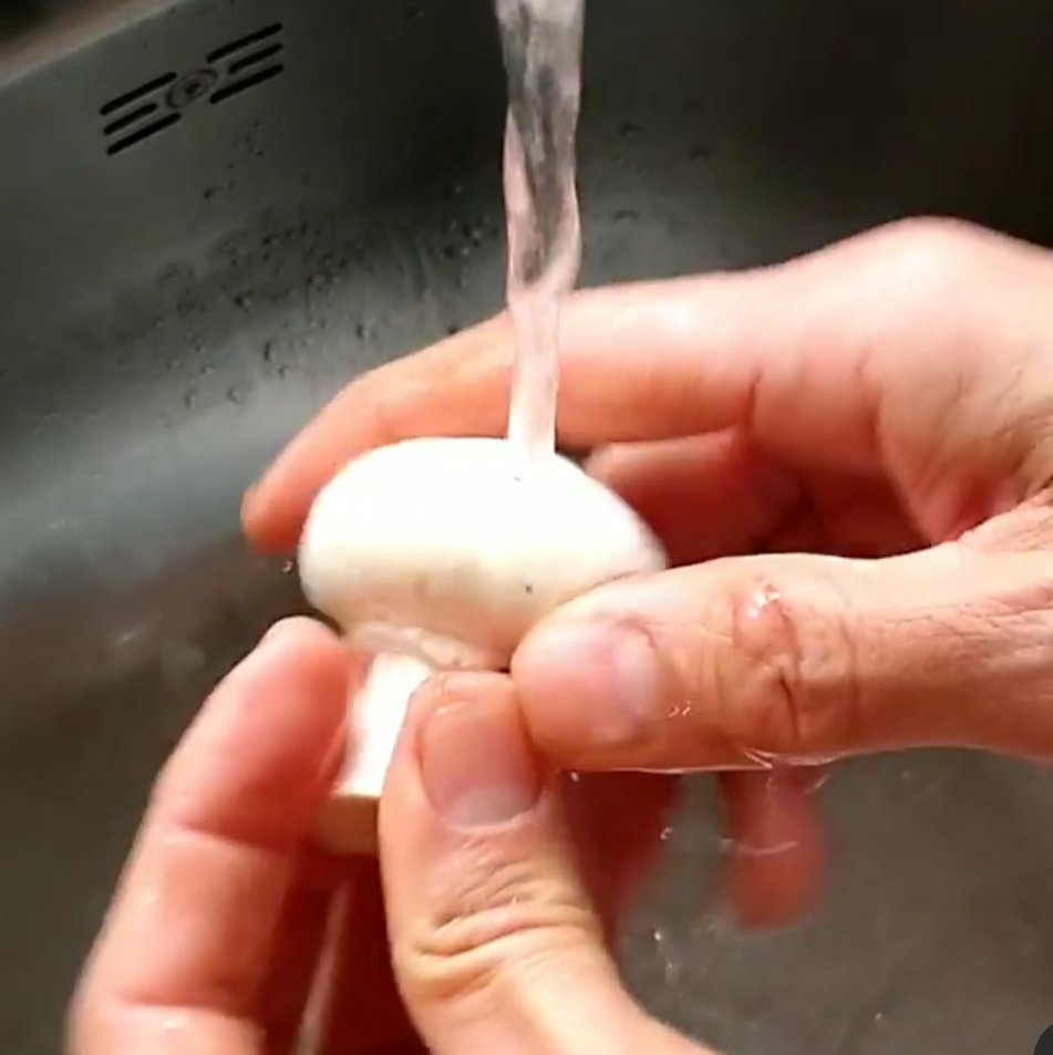 manduqueOK's tweet photo. ¿Por qué deberíamos limpiar los hongos con un papel humedecido y no lavarlos bajo el chorro de agua o sumergiéndolos en un bowl? Se suelen escuchar cosas tales como que se arrugan, se marchitan, pierden su textura. Abro hilo. https://t.co/y7AjgZW9Cs