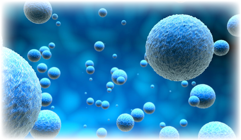 somaticediting's tweet image. #ProjectFriday: &quot;Endothelial-targeted adenovirus for organ-selective gene editing in vivo&quot; is an #SCGE project led by PI Dr. David Curiel of @WUSTL. His project focuses on using unique adenovirus strategies for #geneediting🧬 bit.ly/3yalQ9i