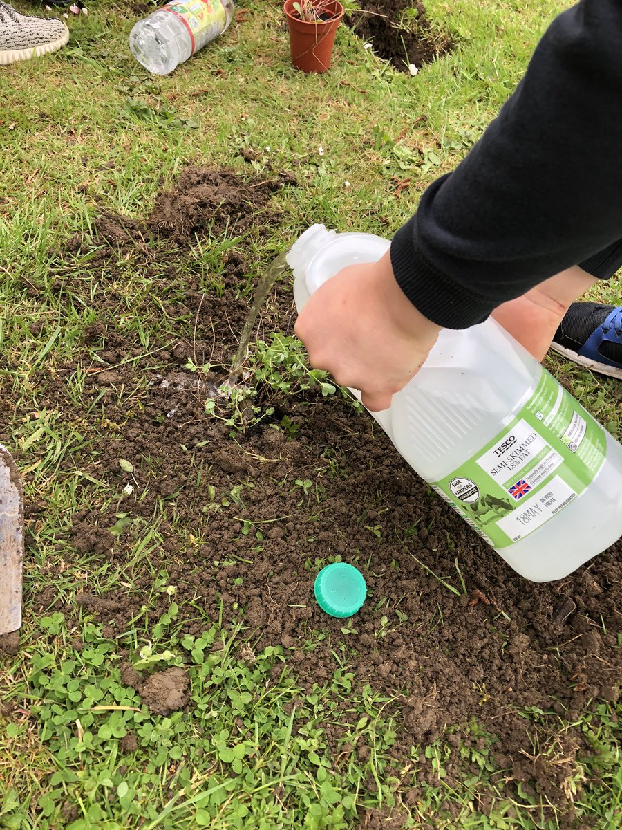 This afternoon Kingfishers class helped Mrs Myres, who lives in Ravensden, plant lots of wildflowers on our school field. We really appreciated her time and for her kind donation. We look forward to watching them grow! <a href="/ravensdenps/">Anna Spyropoulos</a> <a href="/Ravensdenhead/">A Spyropoulos Ravensden/Roxton</a> @