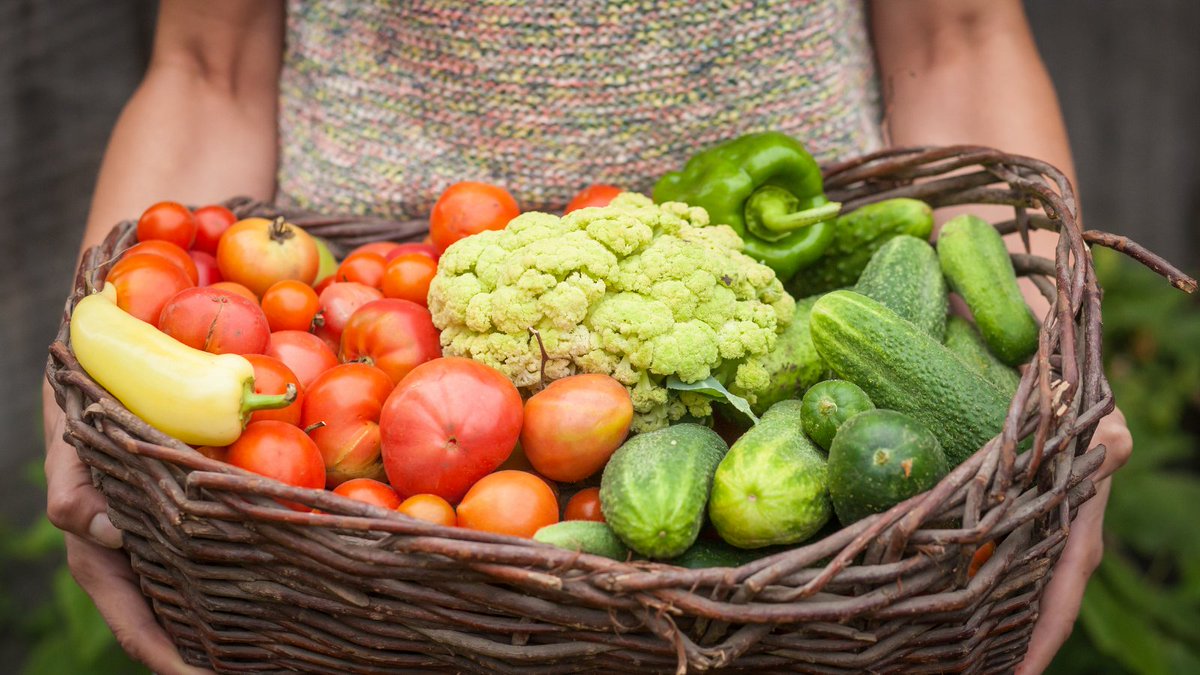 2ndharvest's tweet photo. Food banks can’t do it alone. We need public programs to help, especially our immigrant neighbors who can’t access federal programs yet keep #CA going during #COVID19. #UniversalAccessToFood #EndHungerNow @CAFoodBanks https://t.co/oWCQHUcPXK