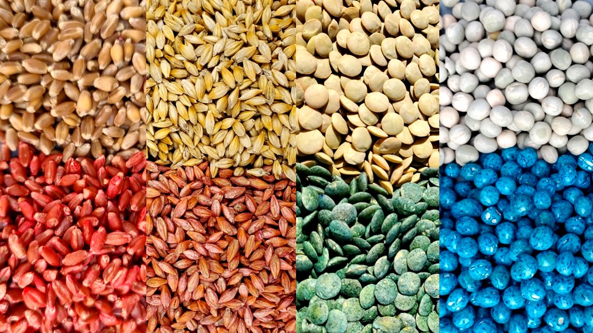 There is so much beauty in #ag. Hope all the growers out there are finding the ROI at the end of this #seedtreatment #rainbow.