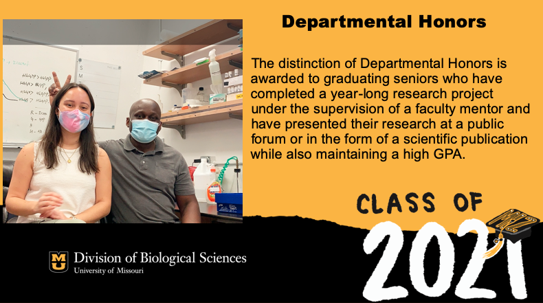 MUBioHonors's tweet photo. @MizzouBiology congratulates Maria Olivos on graduating with Departmental Honors! Maria completed her research in the @LabChabu! 
https://t.co/ZSmUkHO2mL https://t.co/fVoIsHDJUs