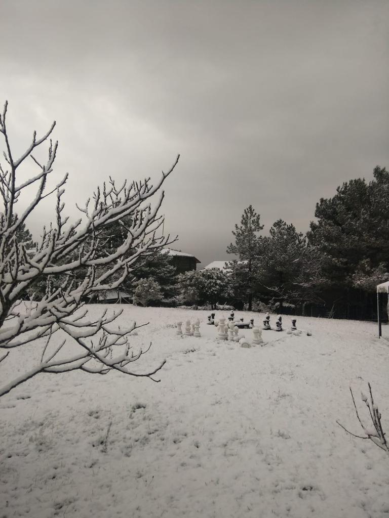 Eve yolculuk var bugun