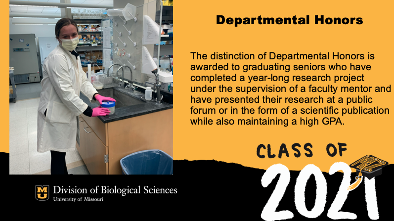 MUBioHonors's tweet photo. @MizzouBiology congratulates Audrey Wind on graduating with Departmental Honors! Audrey completed her research in Animal Sciences under the guidance of Michael Roberts. 
https://t.co/ZSmUkHO2mL https://t.co/j0BUbI9NHb