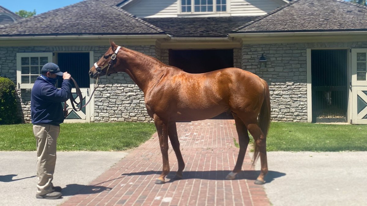 Three Chimneys Farm Three Chimneys Twitter