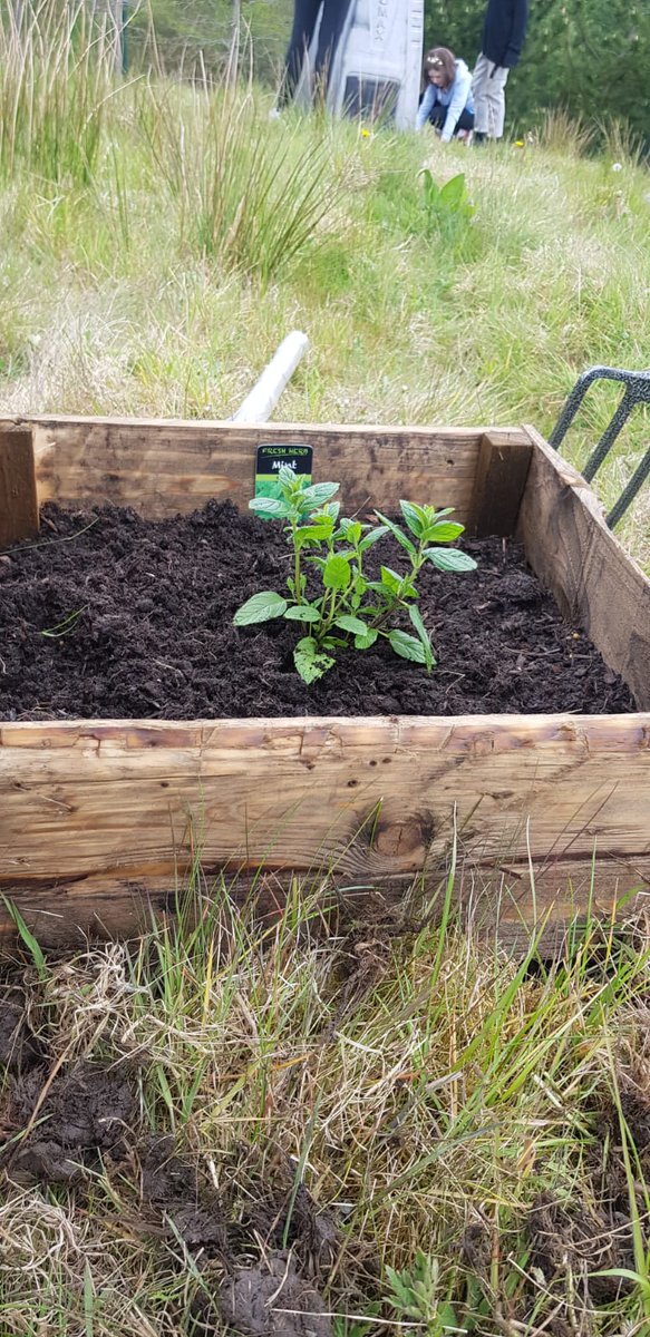 Darwen Vale High School tweet media