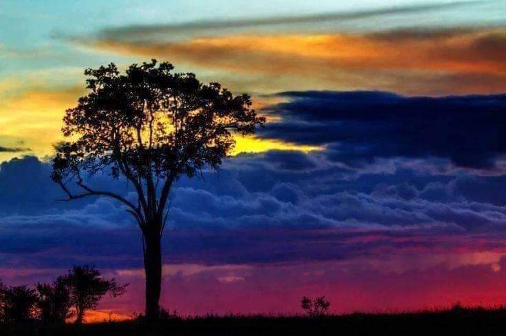 Y llegará el día, donde podamos disfrutar de este país, llegará.