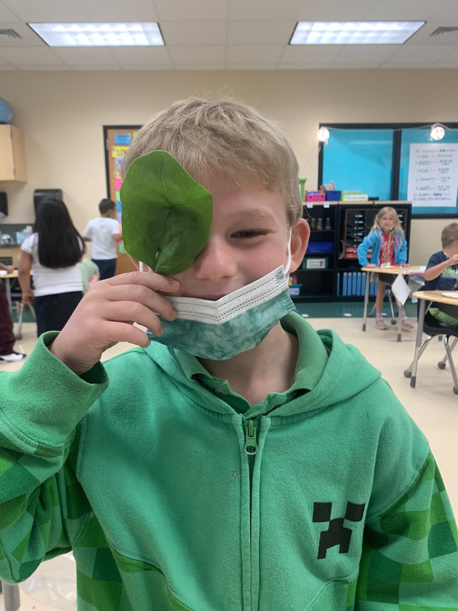 Kim Mattis tweet media