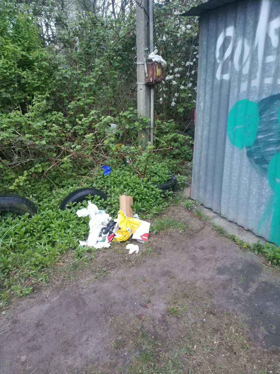 Pod moim garażem zastałem dzisiaj wysypane śmieci z danymi osobowymi (opakowania od kurierów), jestem w stanie to gdzieś zgłosić?

CC: <a href="/pieinggg/">Magdalena</a>