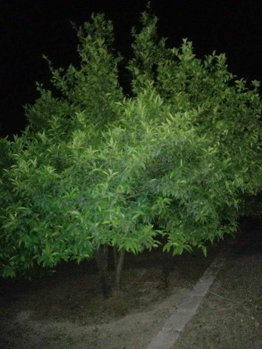 وٌلَيـد (@wali805) on Twitter photo 