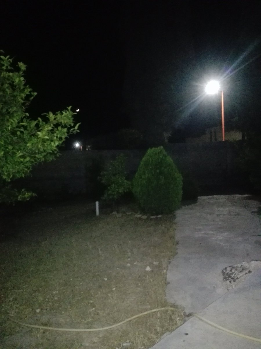 مساء الخير والورد والياسمين