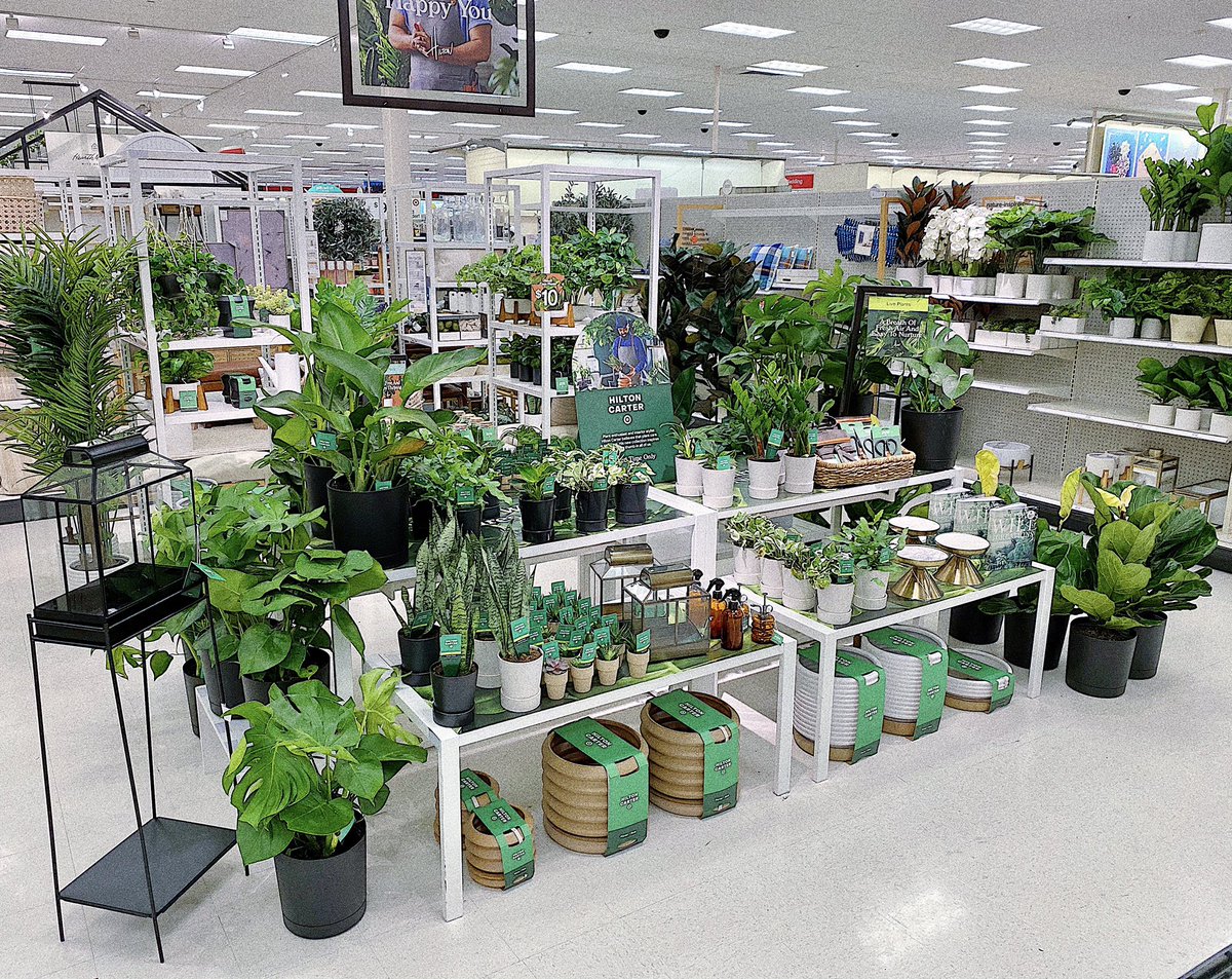 RubyC2715's tweet image. Hilton Carter is here, who’s ready to add more comfort and personality to your space 🌱🌿 @vscduncan @GabrielCraig10 @SavFromTarget21 @CarpioSteffanie @GaradaVilla @tracyacurry1 @Efrain_alonzo2 @Janette_B2715 #HiltonCarterxTarget