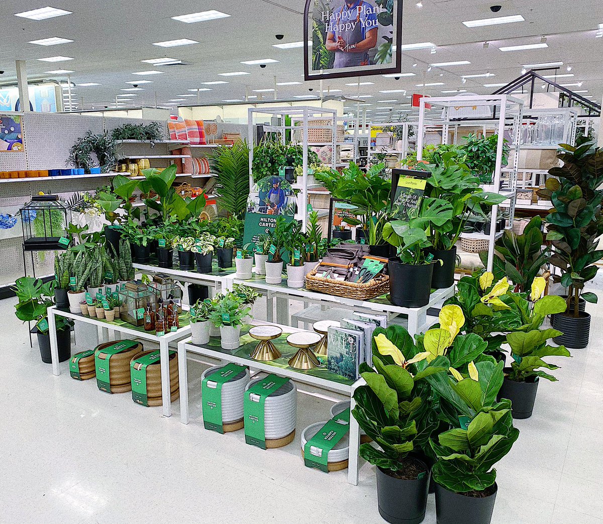 RubyC2715's tweet image. Hilton Carter is here, who’s ready to add more comfort and personality to your space 🌱🌿 @vscduncan @GabrielCraig10 @SavFromTarget21 @CarpioSteffanie @GaradaVilla @tracyacurry1 @Efrain_alonzo2 @Janette_B2715 #HiltonCarterxTarget