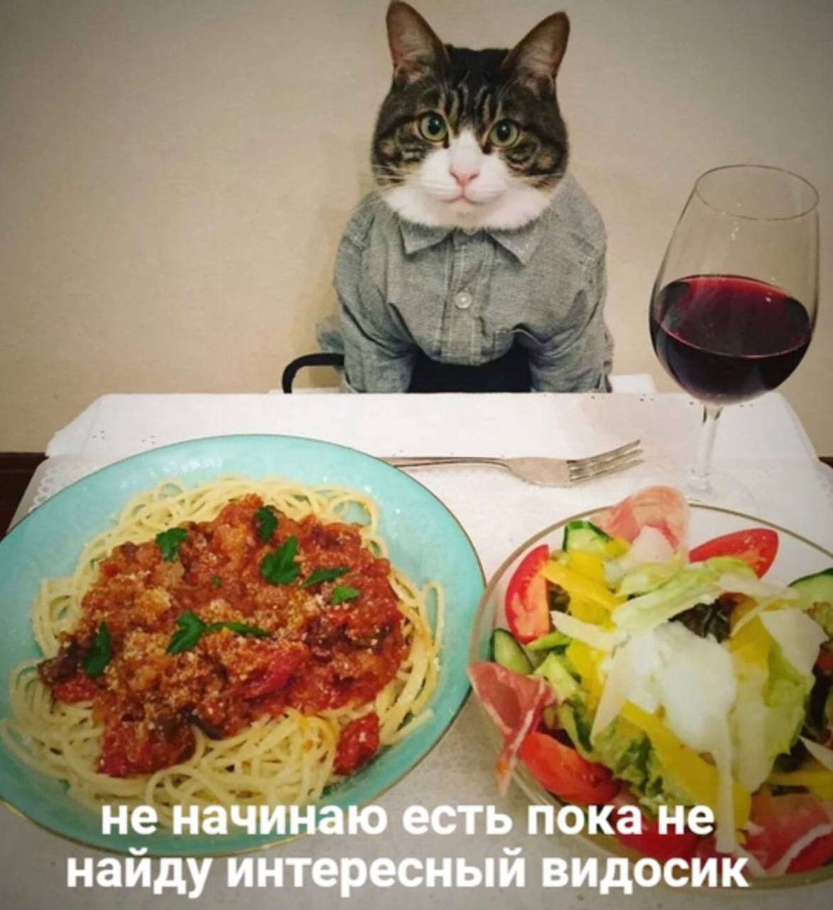 E1XeNVVXsAMzUyP?format=jpg&name=large