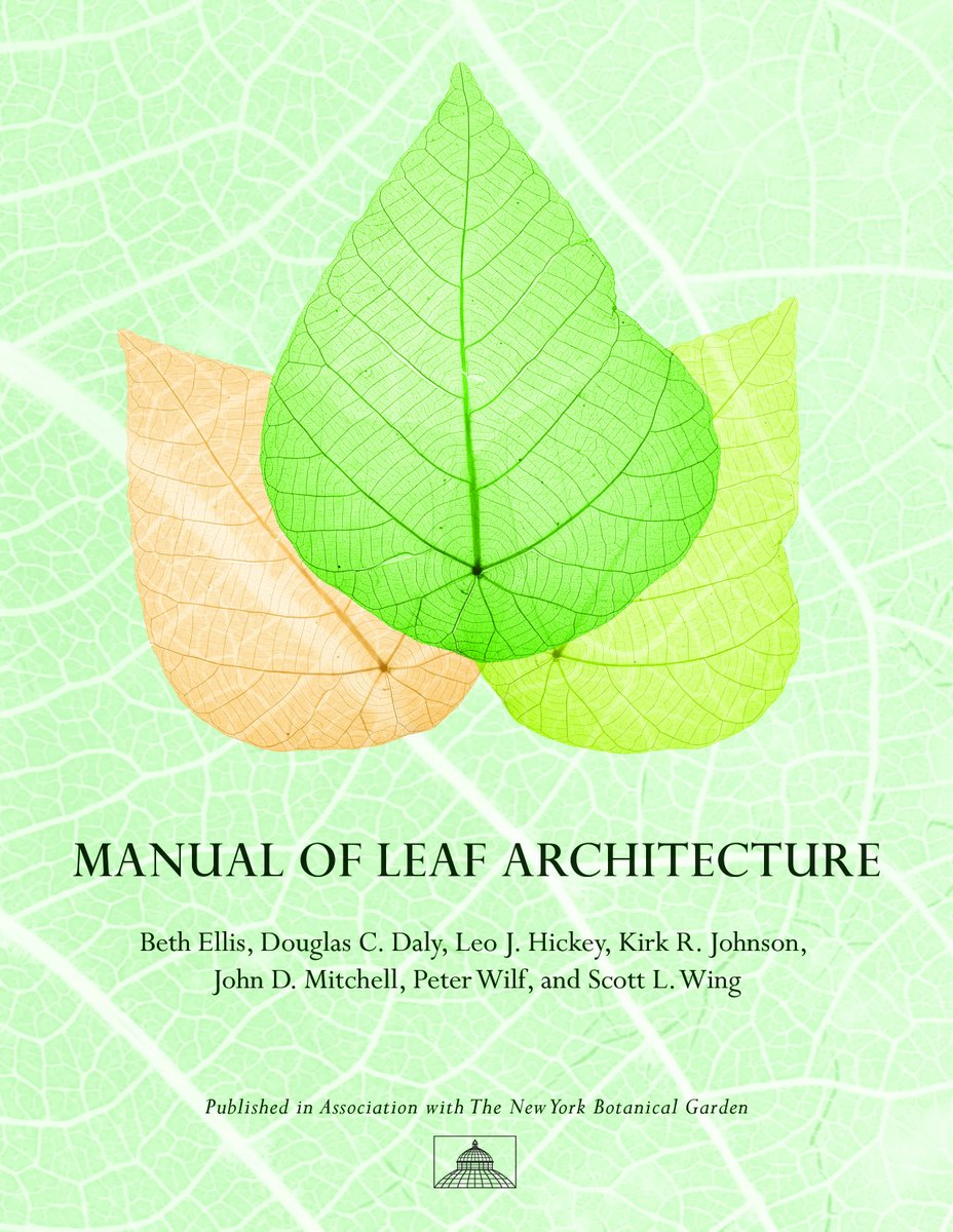RadioGondwana's tweet image. NEW Now available open access.
Manual of Leaf Architecture. By Beth Ellis, Douglas C. Daly, Leo J. Hickey, Kirk R. Johnson, John D. Mitchell, Peter Wilf, Scott L. Wing. Cornell University Press and New York Botanical Garden Press (2009).
OA agreement &amp;amp; pdf link below in replies.