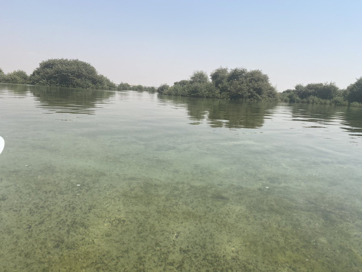 leth831's tweet photo. #eidsabiglaanglakad
3km mangrove kayaking
✅ 😘🤩
Biglaan sakit din ng katawan toh😄 https://t.co/cJyP8LAQLu