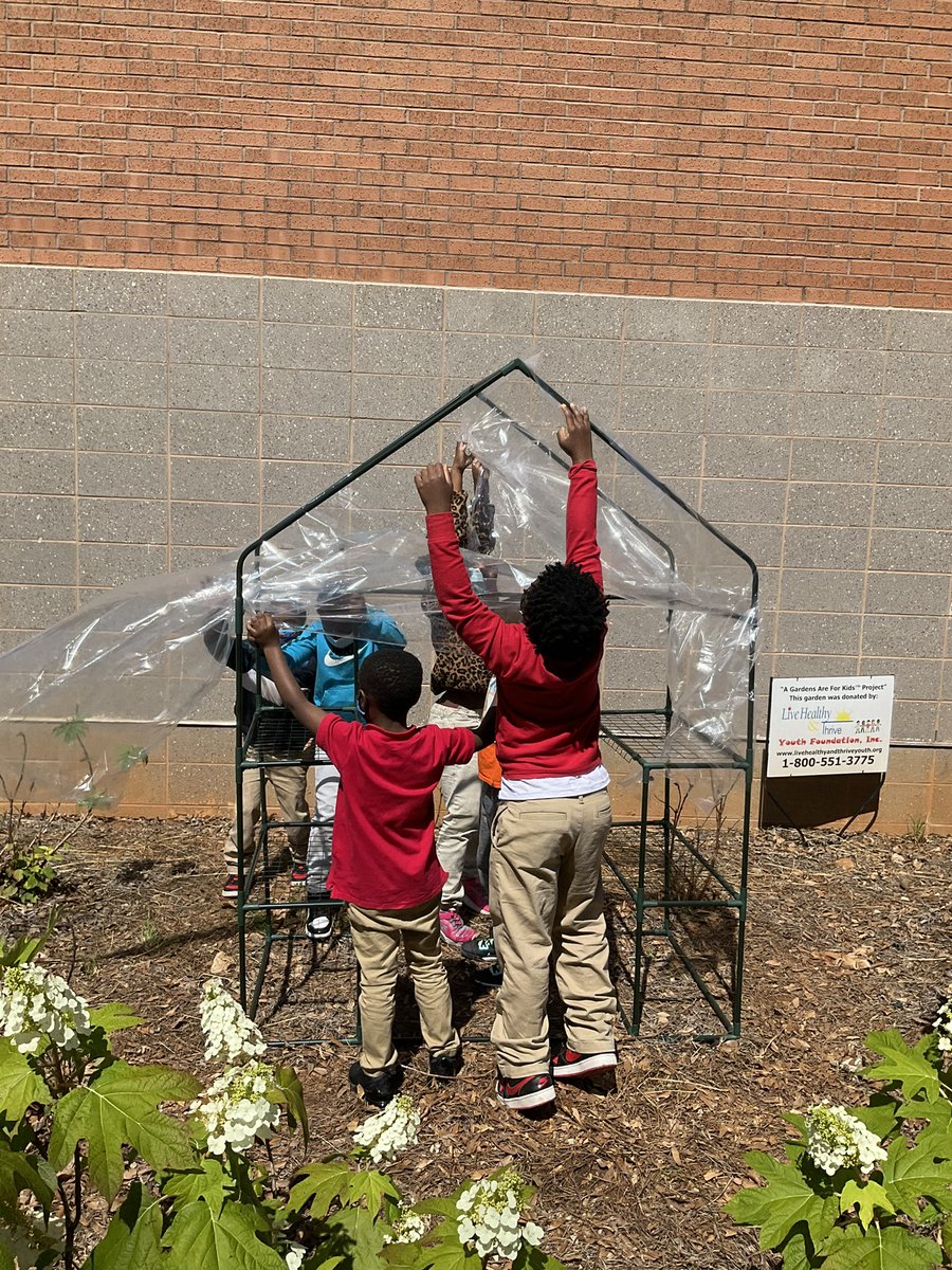 anesha_williams's tweet photo. 1st graders @APSTAGAcademy working together on covering the greenhouses with shower curtains. I’m curious to see the outcome. #urbanfarmersatwork #changeagentsinaction #STEMPBL @principaldrp @ittybittyspedu @JBoydeducator https://t.co/PyWIdnH6PJ