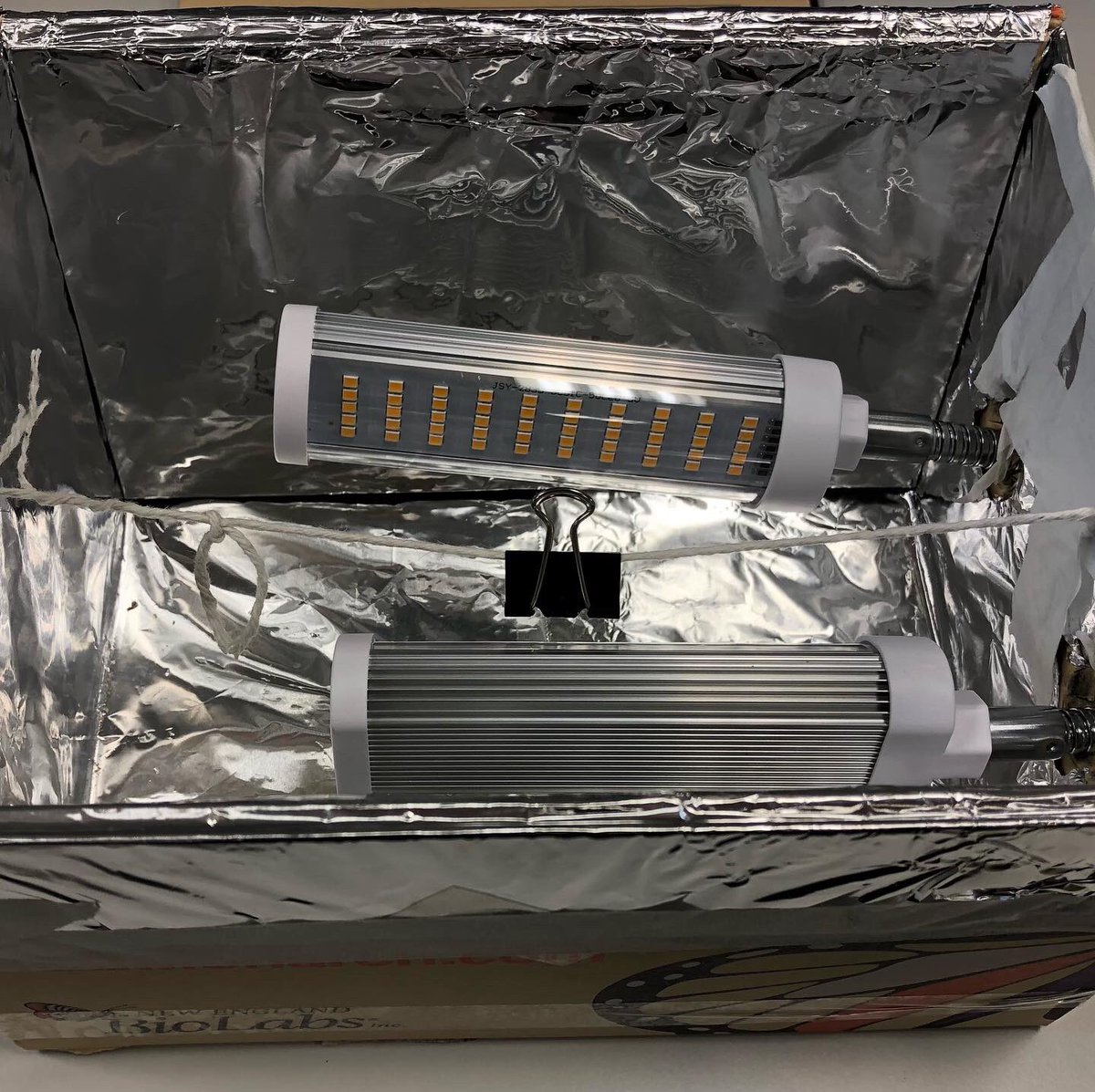 The graph I have been waiting for and the guys that made it happen 😍 (also <a href="/TwelvetreesLab/">Twelvetrees Lab</a> obviously!) #smfbox #bluepeterscience